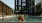 Sparkling Pool 